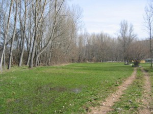 fotos segolia 001